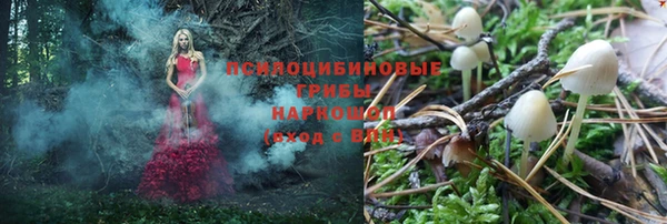 дурь Алзамай