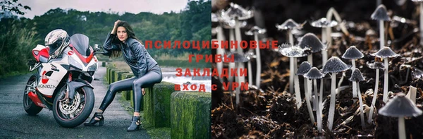 дурь Алзамай