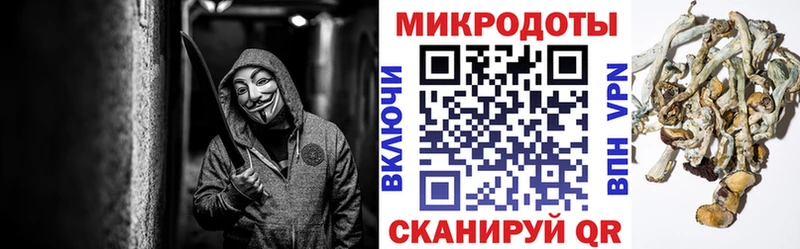 Псилоцибиновые грибы мухоморы  это как зайти  Большой Камень 