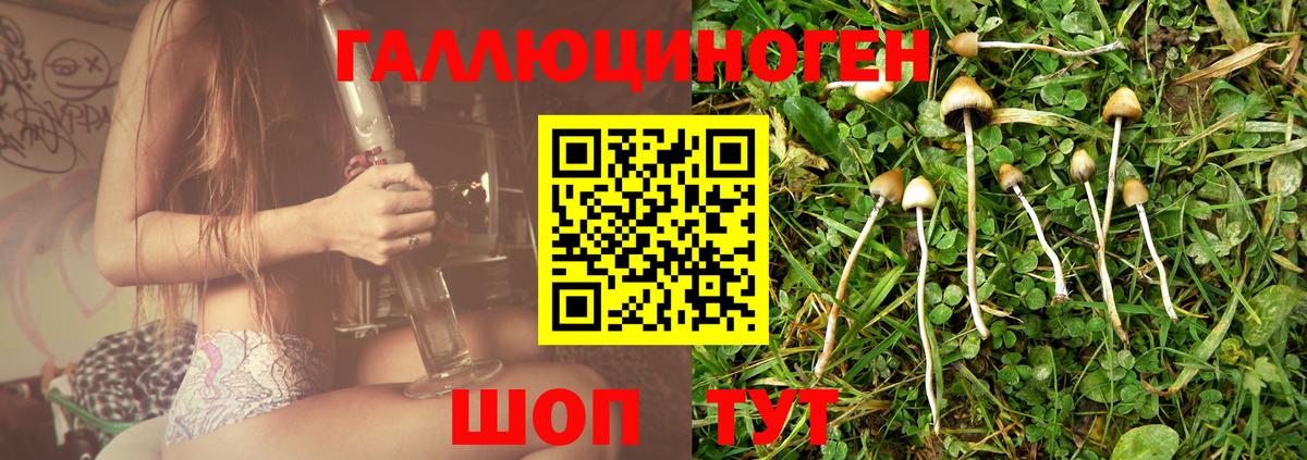 Псилоцибиновые грибы Cubensis Большой Камень