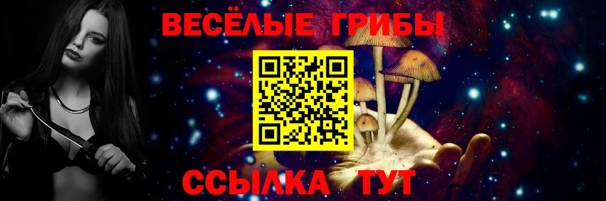 Большой Камень  Псилоцибиновые грибы Cubensis  Вход с VPN  Галлюциногенные грибы GOLDEN TEACHER 